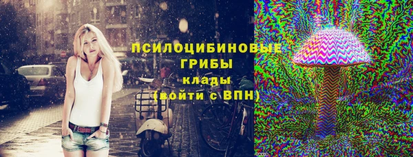 сатива Сатка