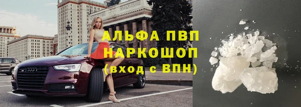 сатива Сатка