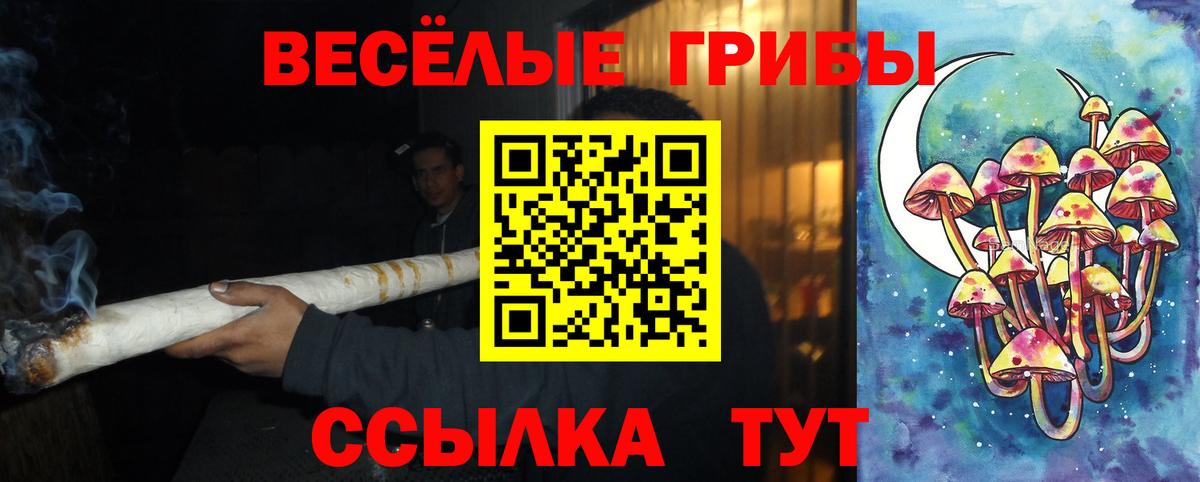 Галлюциногенные грибы мицелий  Вход с VPN  Псилоцибиновые грибы мухоморы  Кинешма 